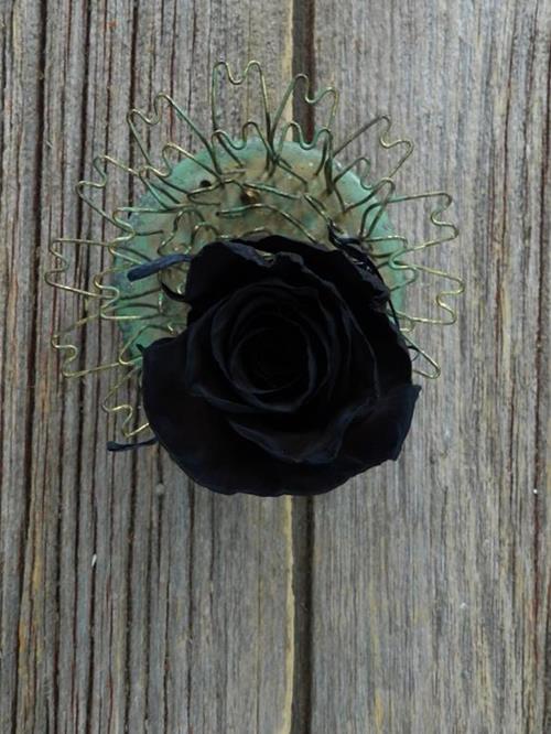  BLACK TINTED ROSES